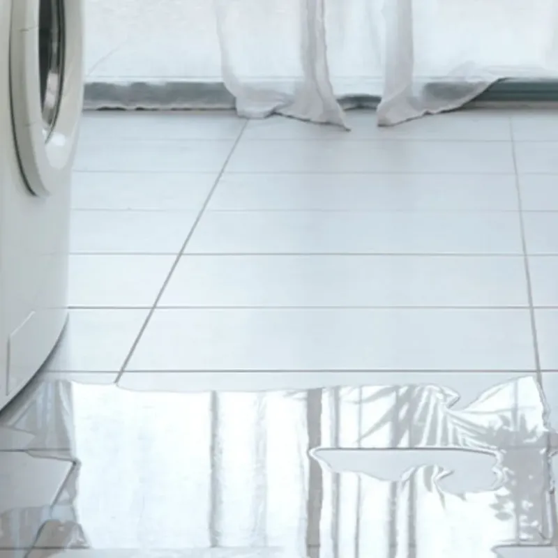 Appliance Leak Cleanup in Strum, WI