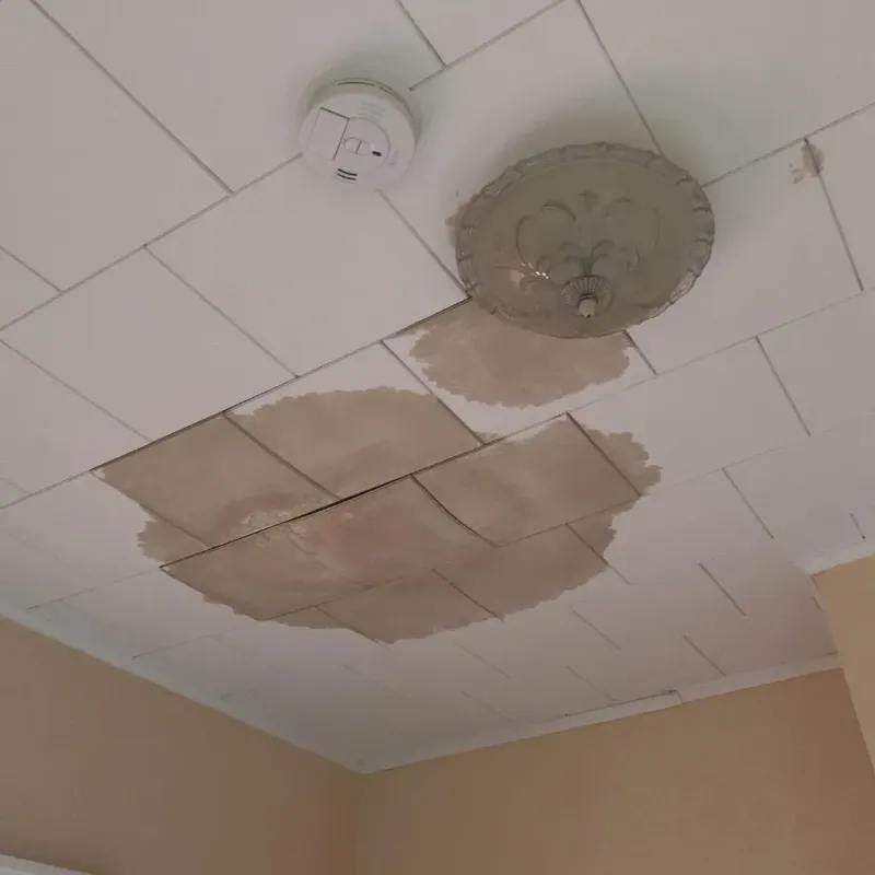 Ceiling Water Damage Repair in Strum, WI