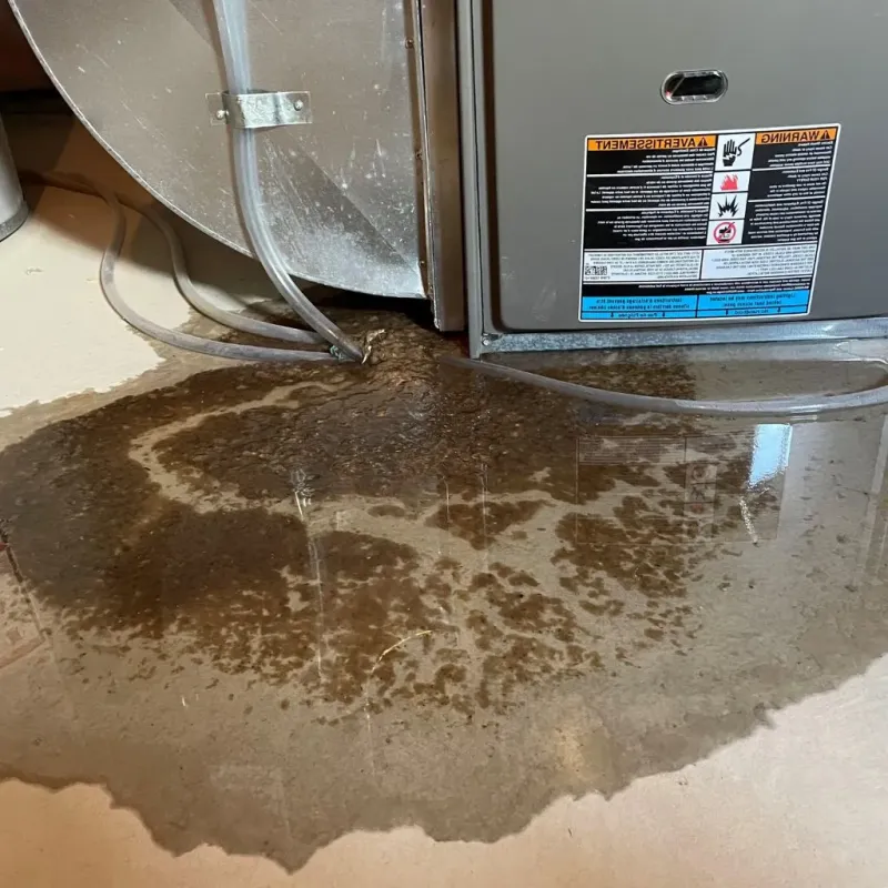 Pipe Burst and Leak Restoration in Strum, WI